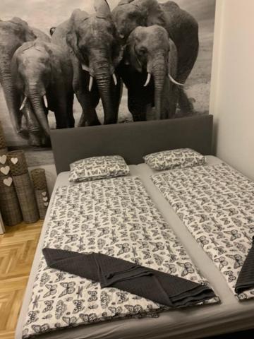 بودابست Castle Hill Safari Apartment المظهر الخارجي الصورة